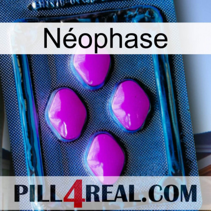 Néophase 04
